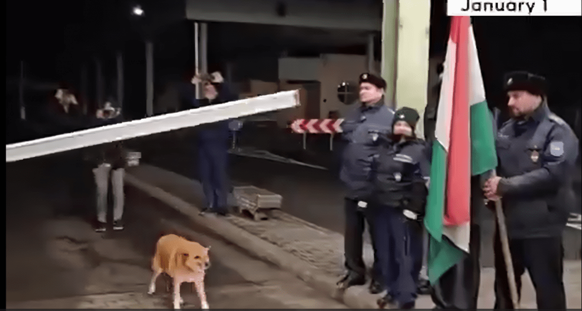 Un câine face „istorie: prima ființă care a trecut granița Ungaria-România, după aderarea la Schengen