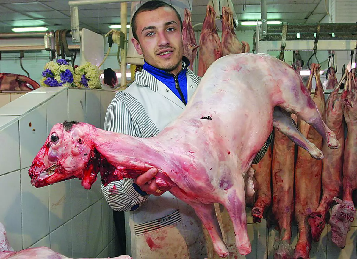 240 de lei mielul de Paşte