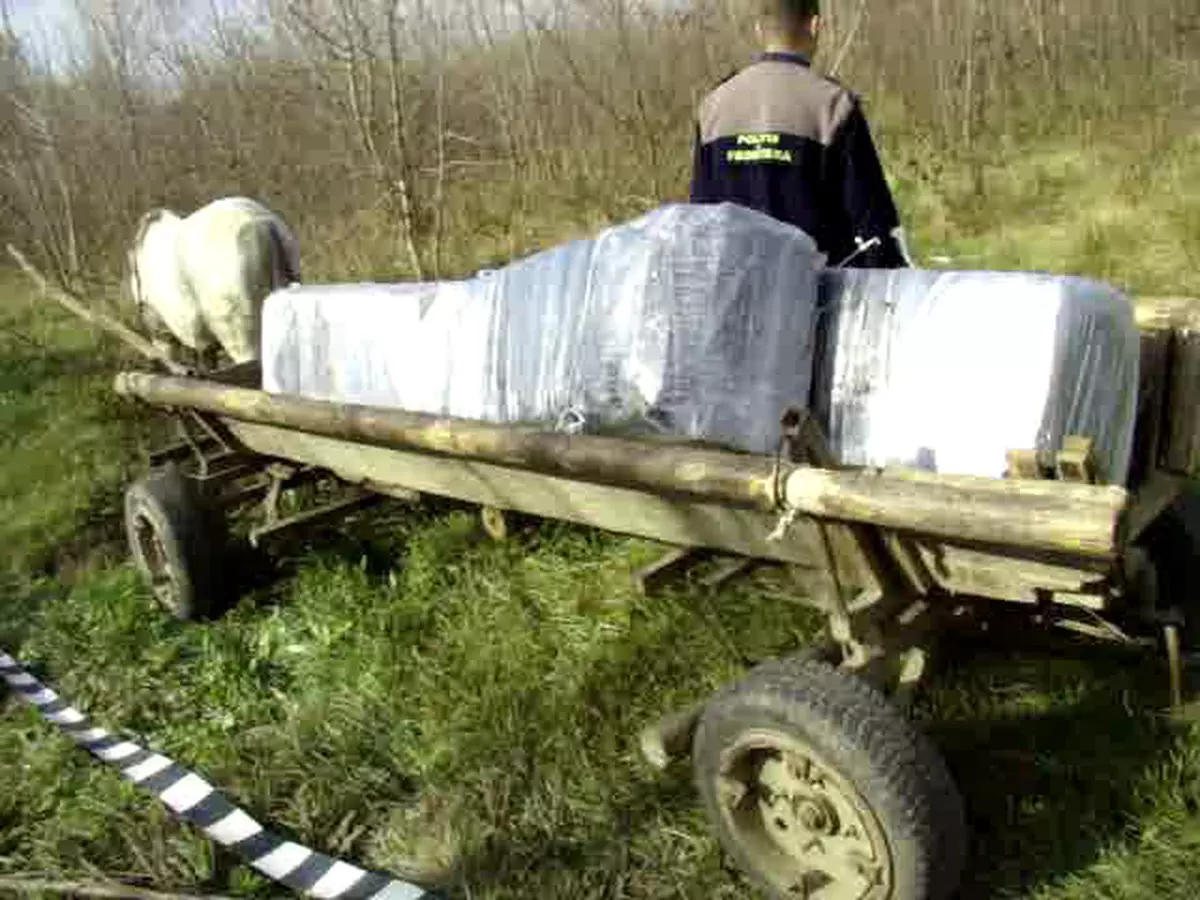 Ţigări de contrabandă în valoare de zeci de mii de lei, ascunse în căruţă