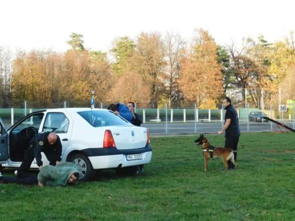 Câinii-poliţişti din Republica Moldova vor fi dresaţi în România