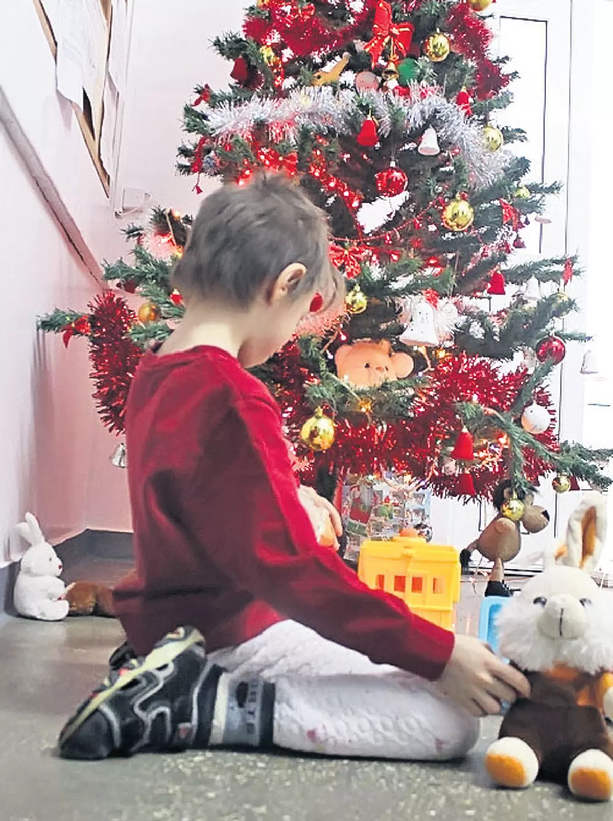 Motivul pentru care micuţul în vârstă de 7 ani s-a aruncat de la etajul I