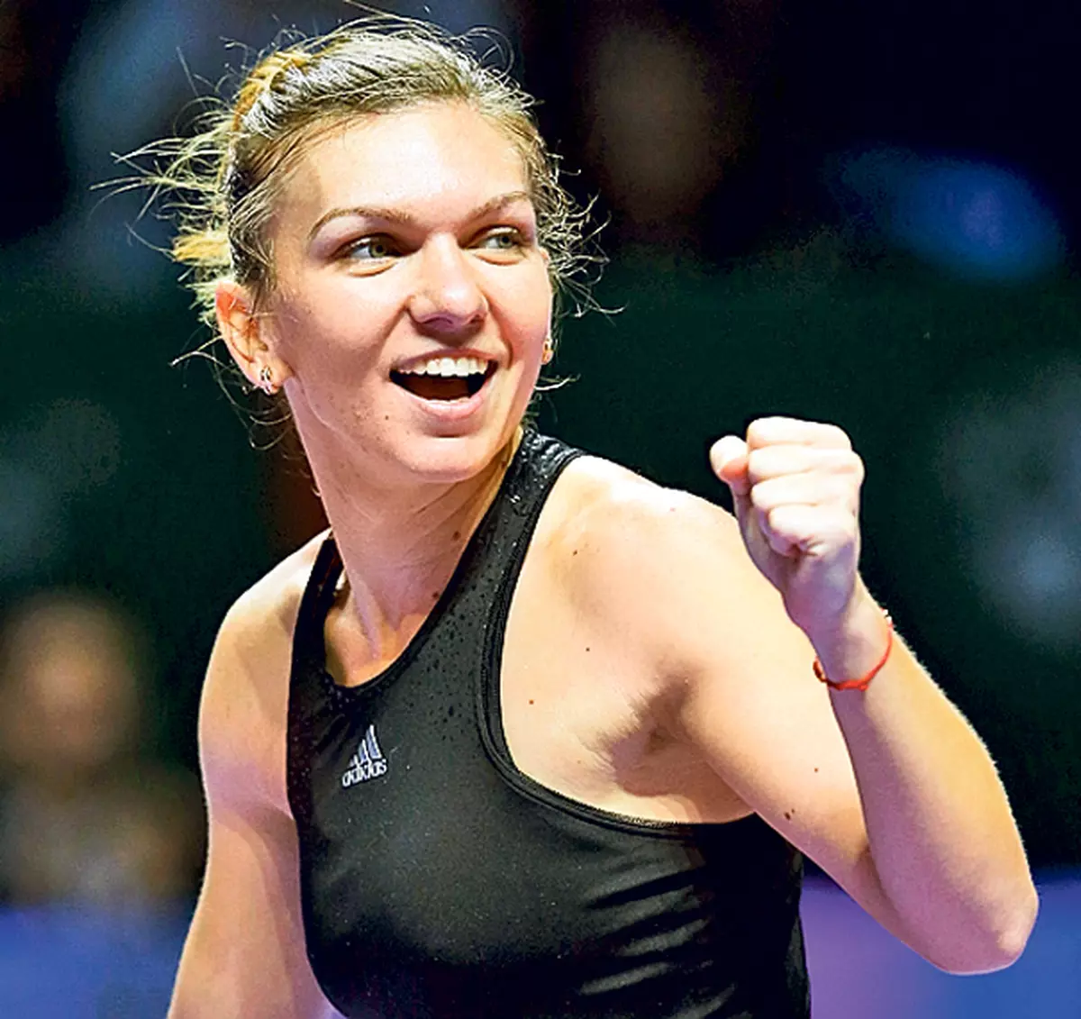 Uite ce avere uluitoare ascunde afaceristul care ar putea deveni socrul Simonei Halep!