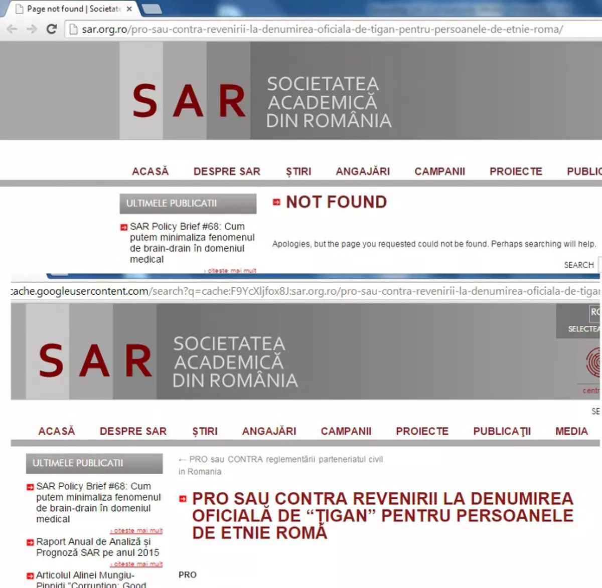 Șocant. Sondajul cu 98 la sută susținere pentru legea denumirii țiganilor a fost șters