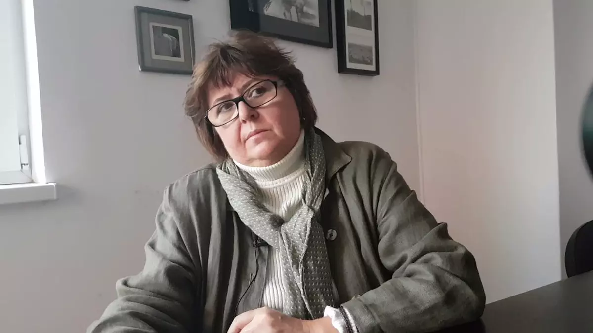 Alina Mungiu-Pippidi îl apără pe Stelian Ion și spune că președintele Iohannis „se spală pe mâini ca Pilat din Pont