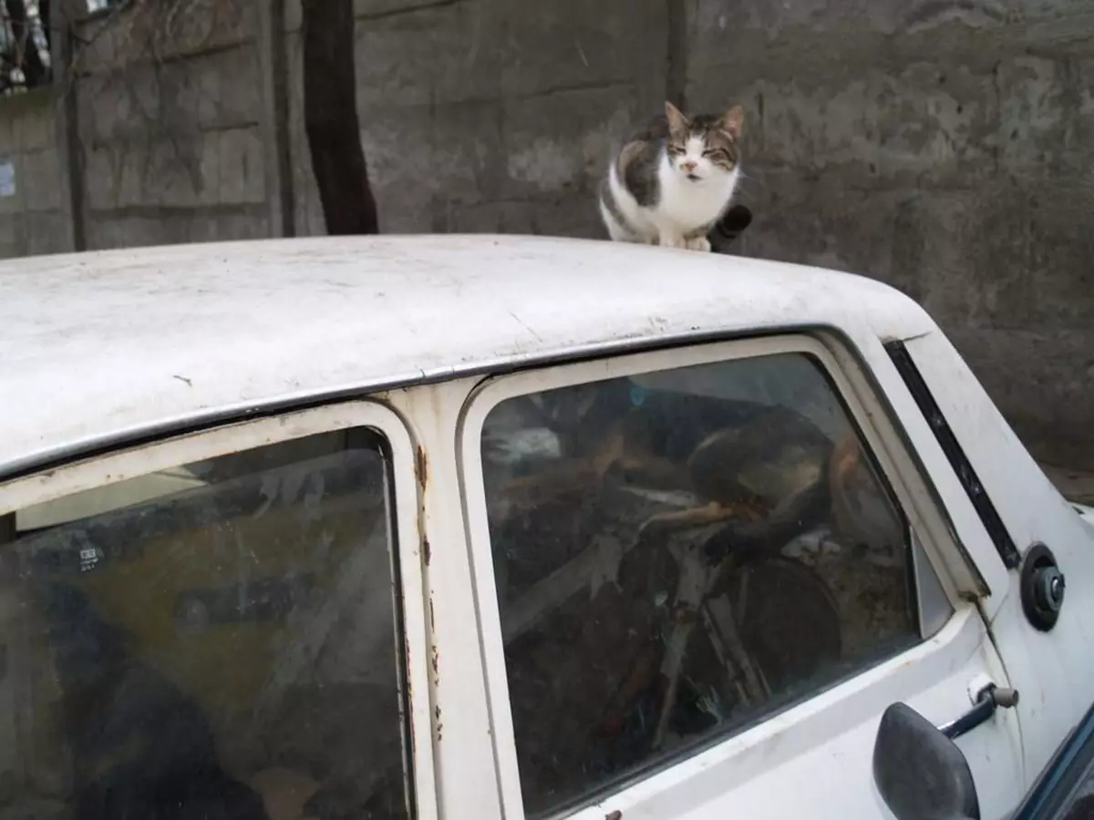 Aproape 1.000 de maşini abandonate au fost ridicate de pe străzi în sectorul 6
