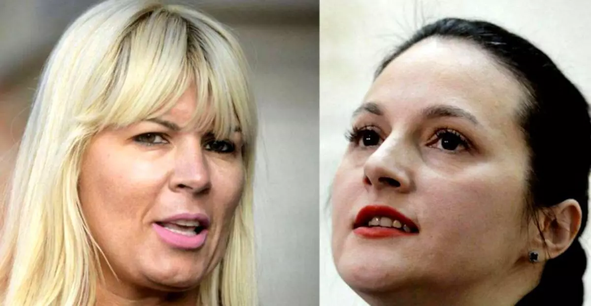 Cu cât își plătesc Elena Udrea și Alina Bica avocații. Sumele sunt colosale
