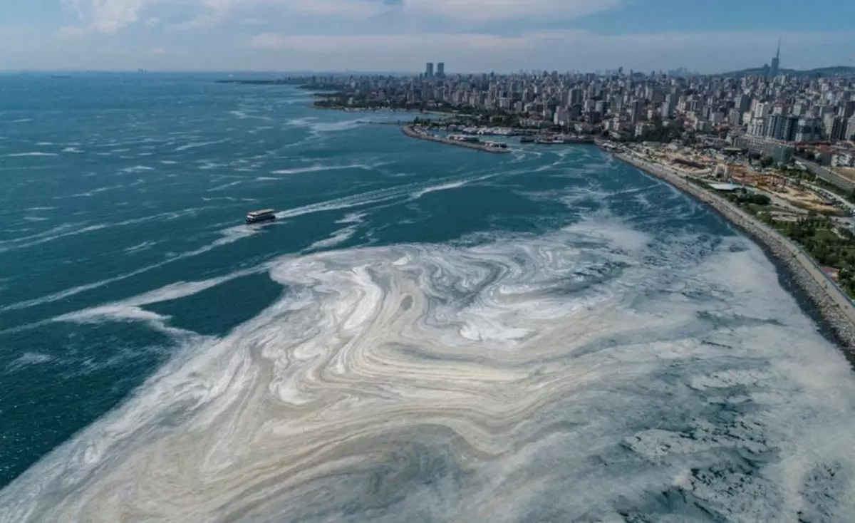 Mucilagiul marin a pătruns și în Marea Neagră. Avertismentul experților