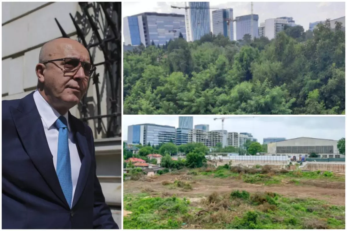 Cum au organizat fazanii rezistența în fața defrișărilor ilegale de pe un teren din nordul Bucureștiului, unde fugarul Popoviciu vrea să facă blocuri