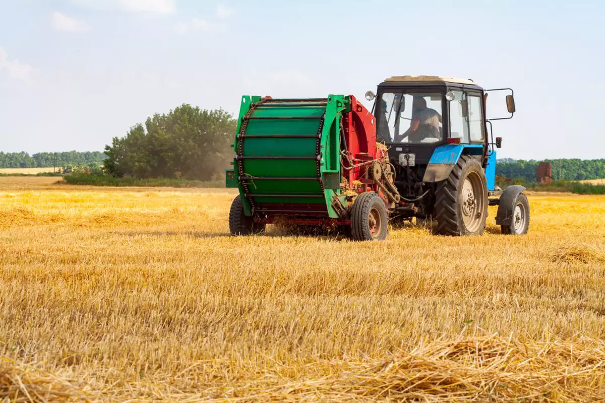 Fermierii români amenință cu blocarea Portului Constanța și a vămilor, din cauza cerealelor din Ucraina