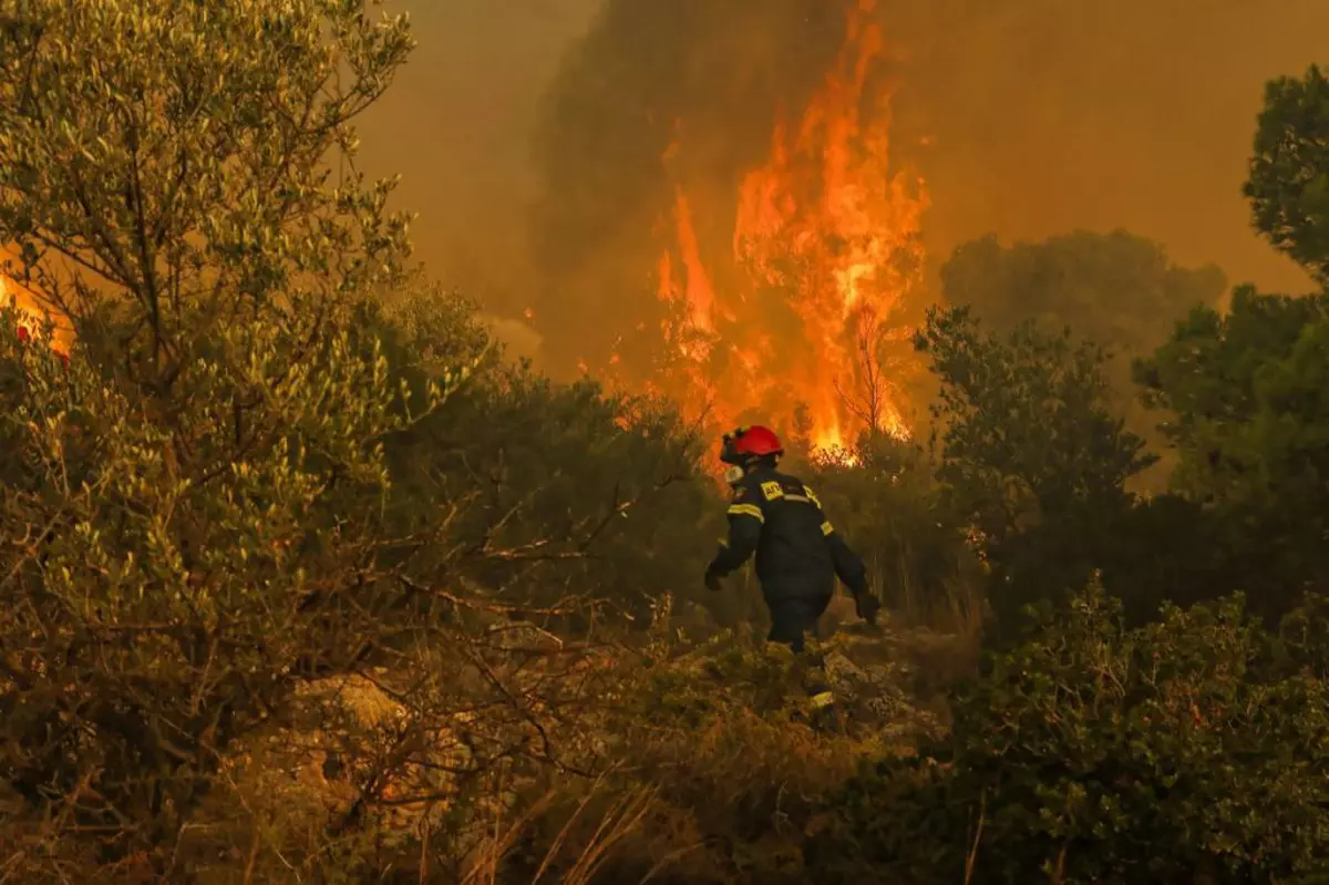 Incendiu masiv de pădure, la 20 de kilometri nord de Atena. Flăcările sunt alimentate de vântul puternic