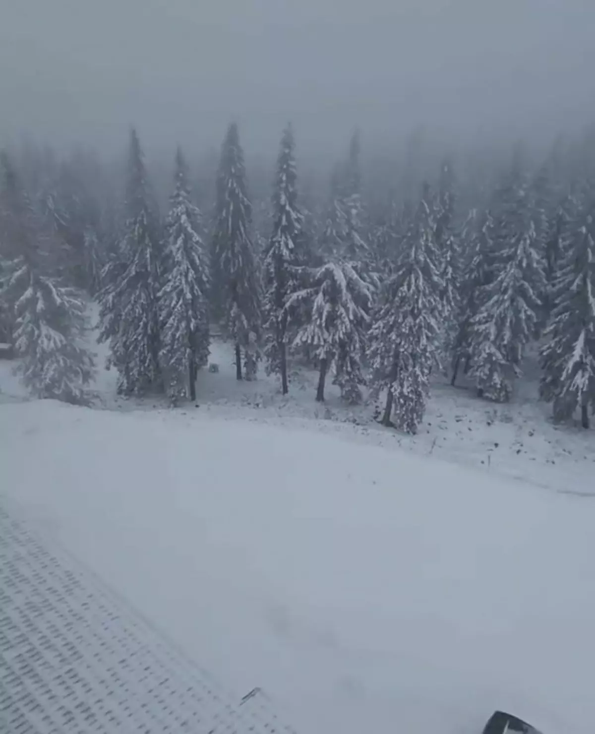 Vremea se înrăutățește de joi noapte. A fost emis cod roşu de viscol puternic şi ninsori abundente