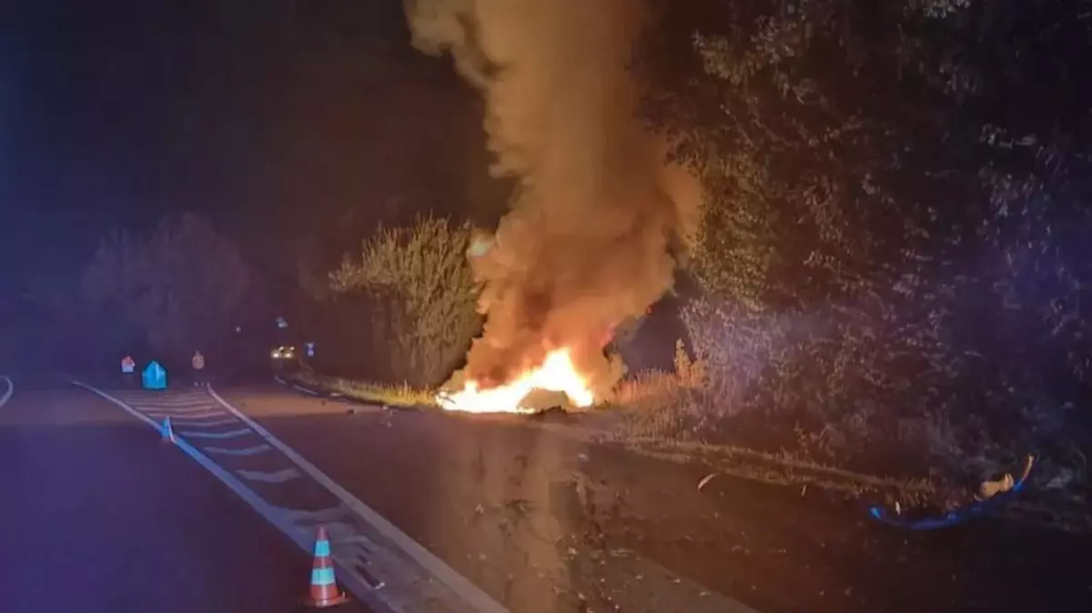 Patru morți într-o mașină Tesla care a luat foc după ce a ieșit de pe șosea, în Franța