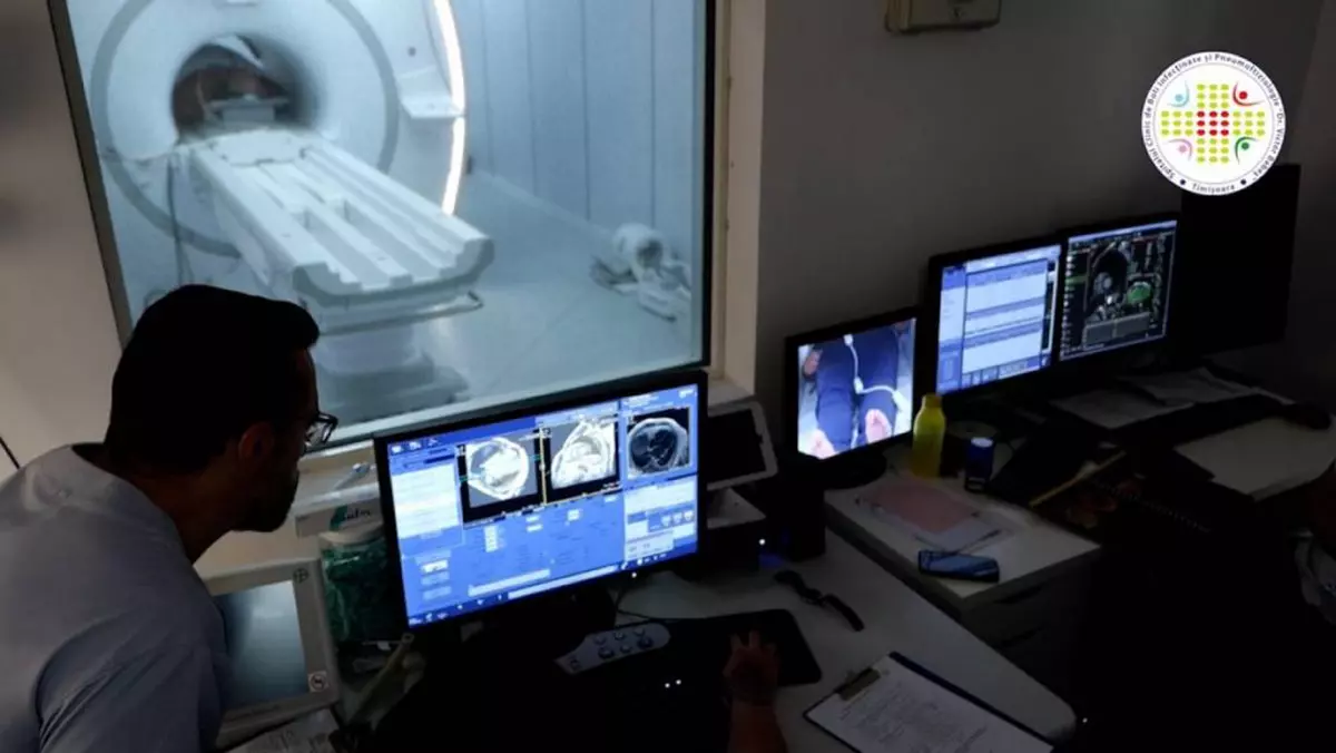 doctor interpretand imaginile scanate ale unui aparat rmn
