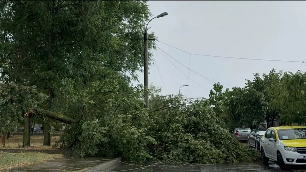 Vijelie puternică la Constanța. Pompierii au intervenit pentru copaci doborâți, acoperișuri smulse și un stâlp de electricitate căzut