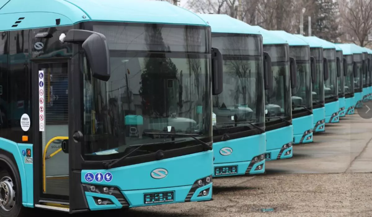 În imagine sunt ilustrate mai multe autobuze de culoare turcoaz