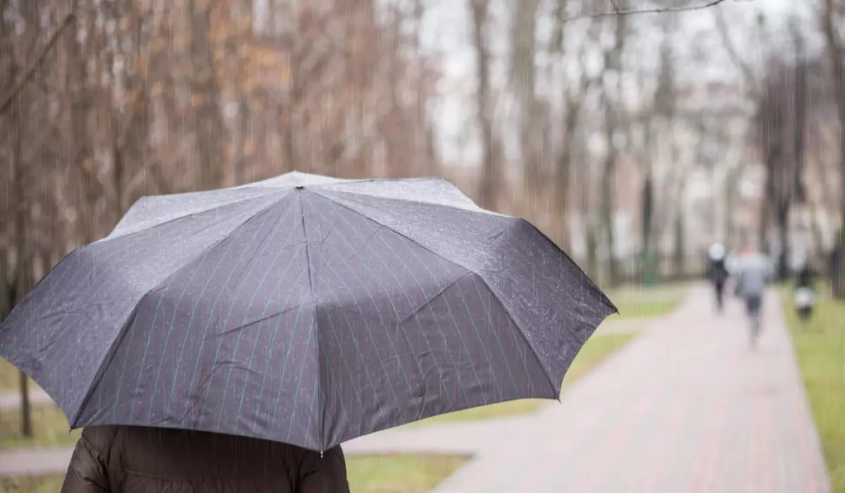 Un om îmbrăcat cu geacă, într-un parc și ține o umbrelă deasupra capului