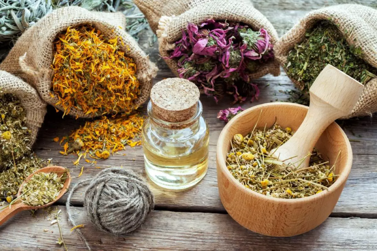 Calendarul culegerii plantelor medicinale