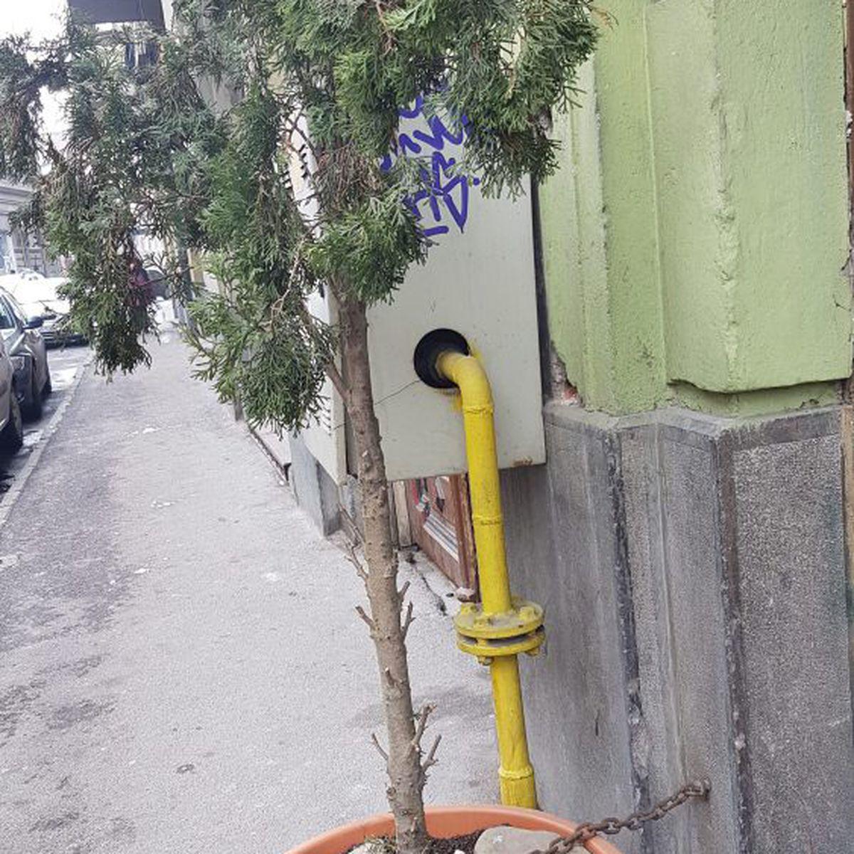 A Legat Brazii Cu Lanțuri Pentru A Nu Fi Furați In Arad Hoțul A