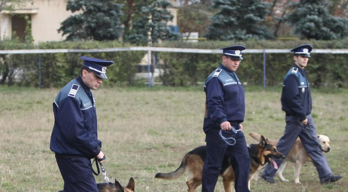 Câini poliţişti din ţară ar putea fi trimişi în sprijinul japonezilor