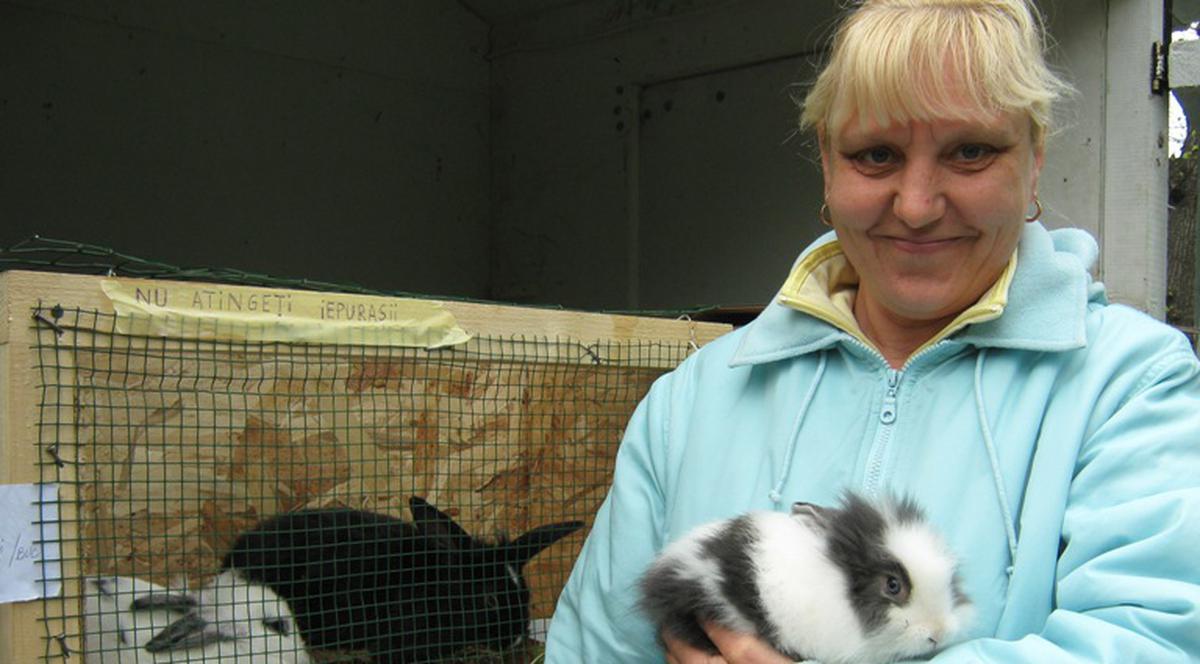 Hai la iepuraşi, la reducere!