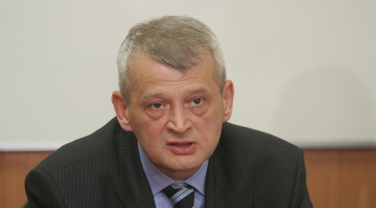 Maidanezii revin în grija primarilor de sector 