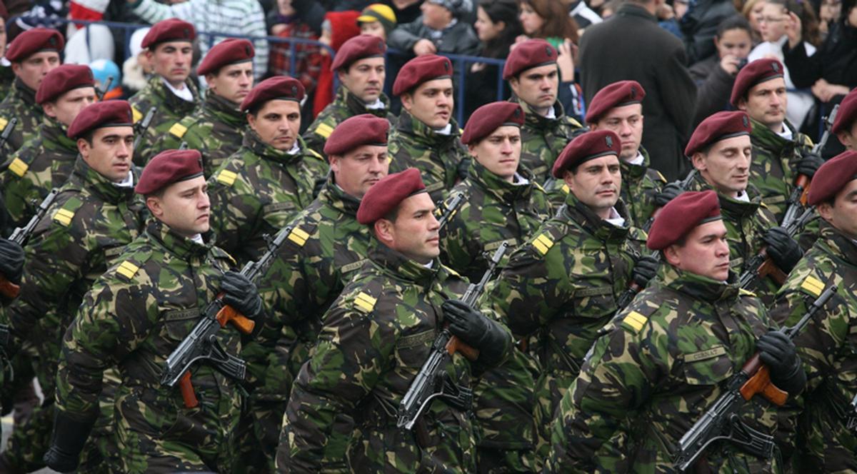 Pentru ce mai fac românii petiţie online: desfiinţarea Armatei Române