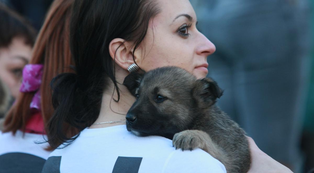  Adoptă un căţeluş în Parcul Bazilescu