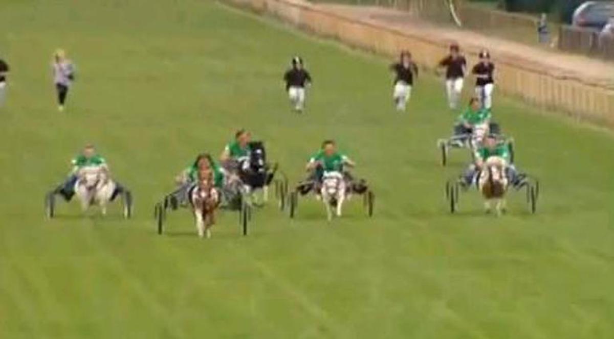 Video: fotbaliştii lui Werder Bremen s-au întrecut la... trap!