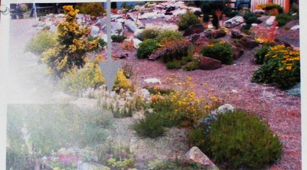 Trei parcuri finalizate până la sfârşitul acestui an în sectorul 2 al Capitalei