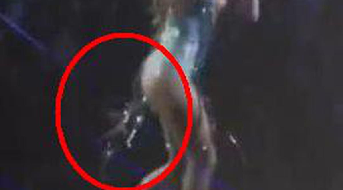 Video | Lui Jennifer Lopez i-a căzut părul pe scenă