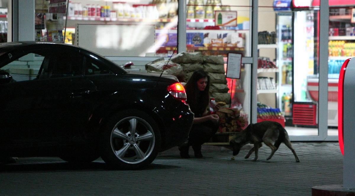 Monica Gabor, miloasă cu animalele! Uite cum hrăneşte câinii vagabonzi | FOTO EXCLUSIV