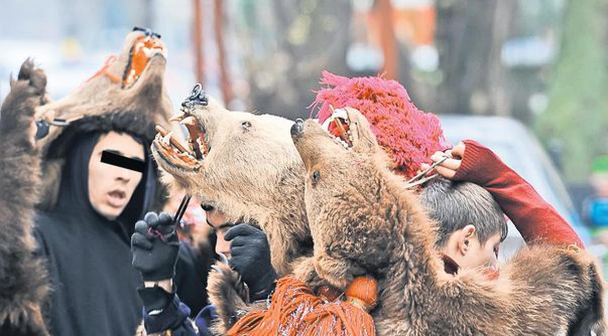 Atenție! Se vânează colindători