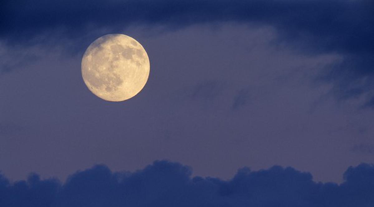 NASA caută voluntari online pentru a descoperi existenţa vieţii extraterestre pe Lună 