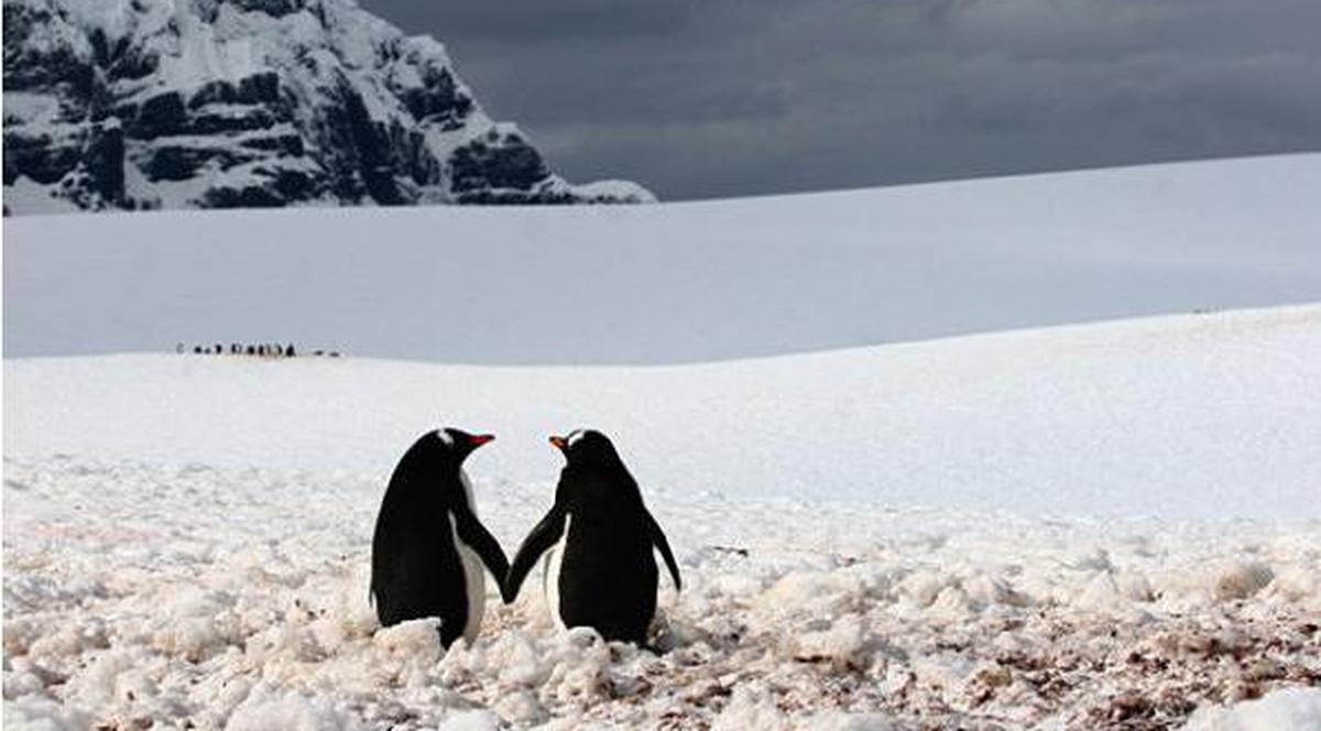 Iată fotografia, făcută de un român, care a făcut înconjurul lumii!