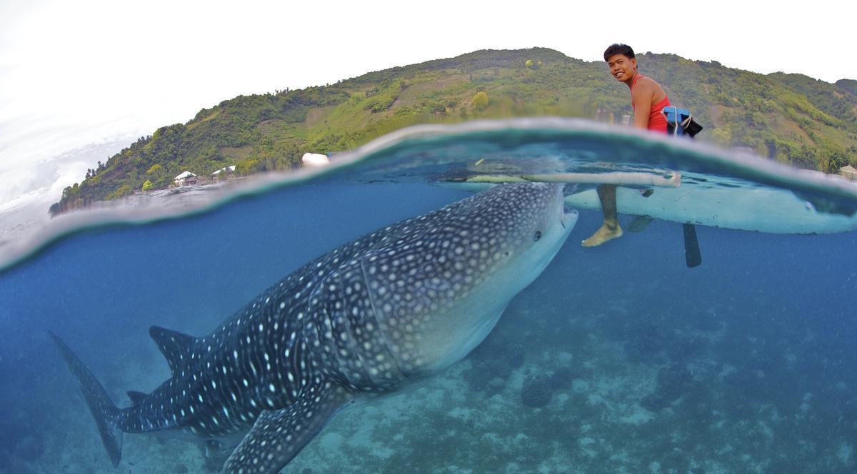 IMAGINILE ZILEI | Un pescar hrăneşte cu mâna un rechin-balenă | FOTO