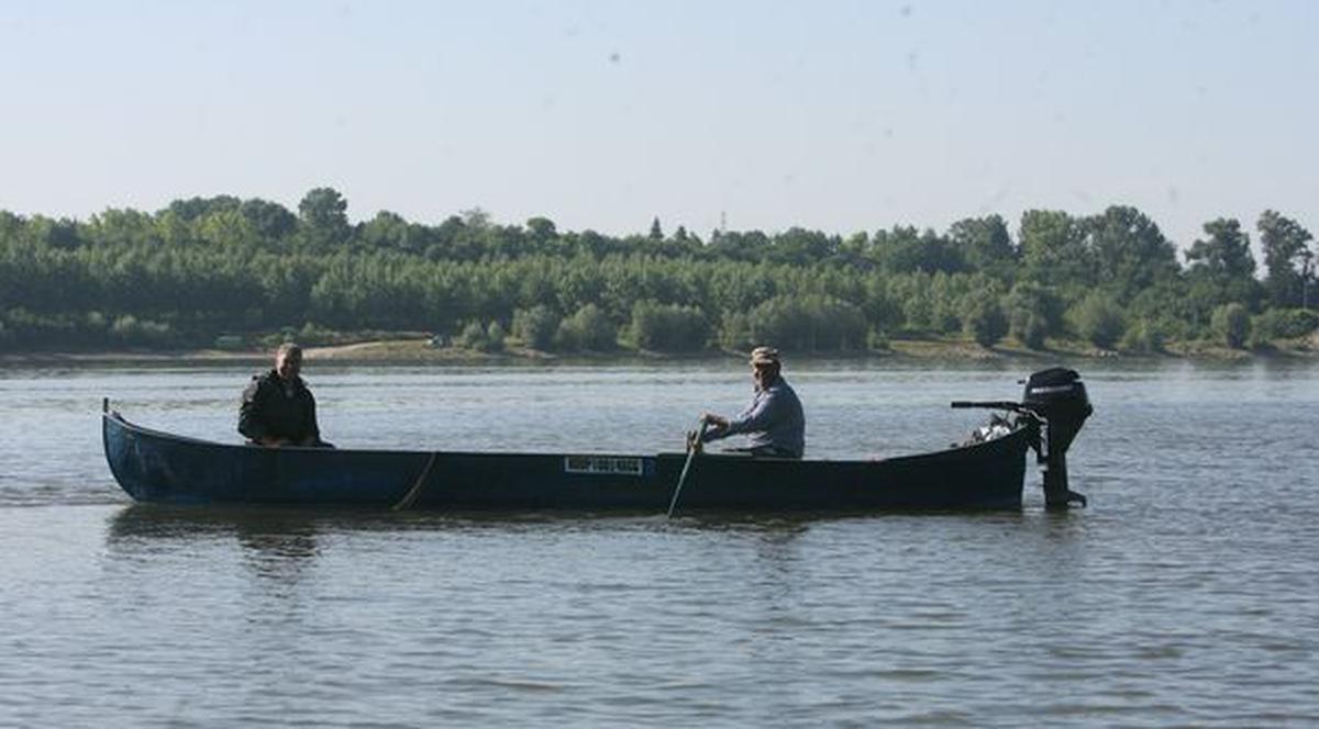 Peste 600 de persoane, cercetate pentru braconaj