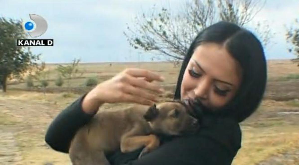 Andreea Mantea, salvatoarea maidanezilor | FOTO