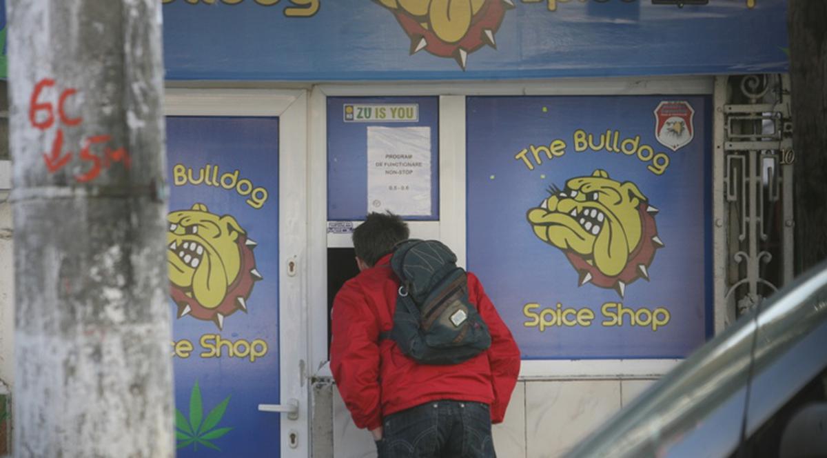 CE AVERI URIAŞE se fac din ETNOBOTANICE! Internetul colcăie de DROGURI LEGALE