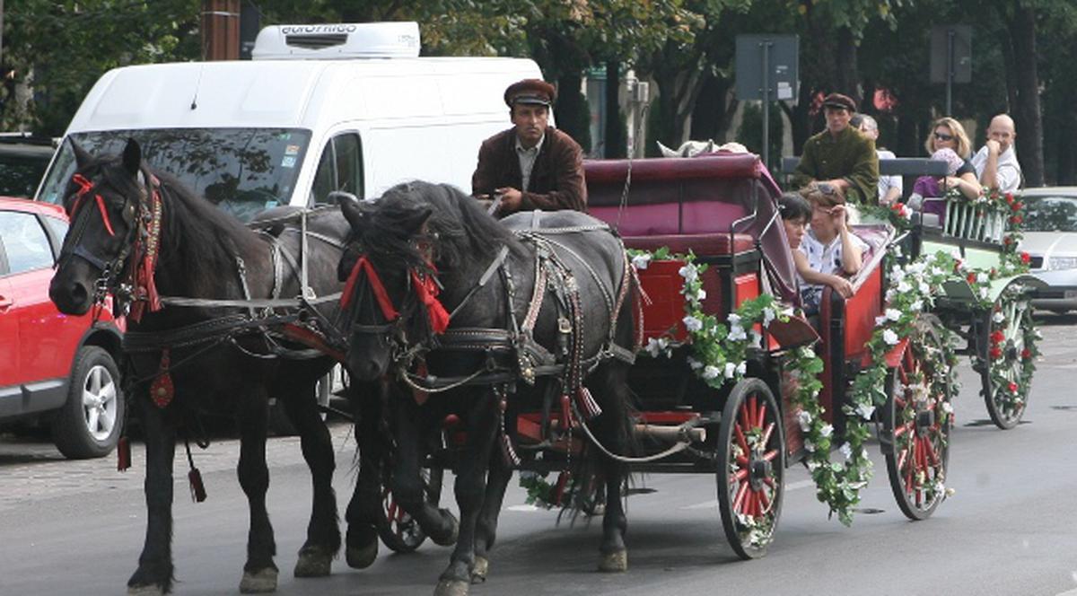 Plimbări cu trăsura şi poneii în centrul Capitalei. Vezi ce evenimente sunt organizate de Florii