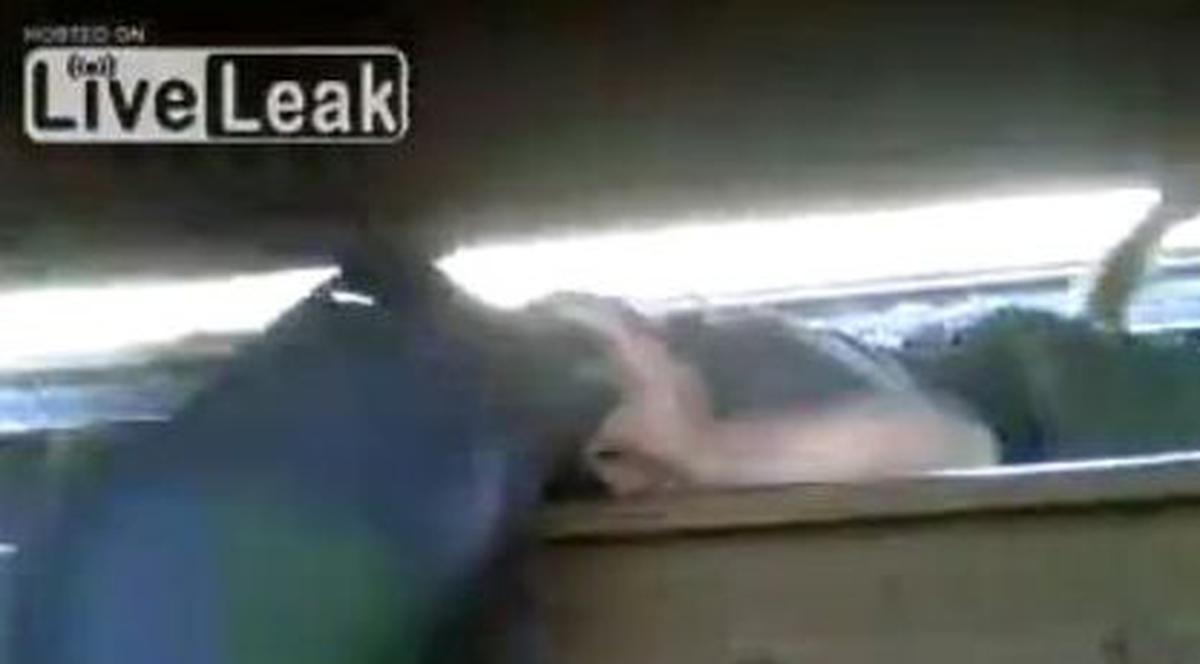 Ce face tânărul asta e demenţă! A ieşit de sub roţile vagonului în timp ce trenul era în mişcare | VIDEO ŞOCANT