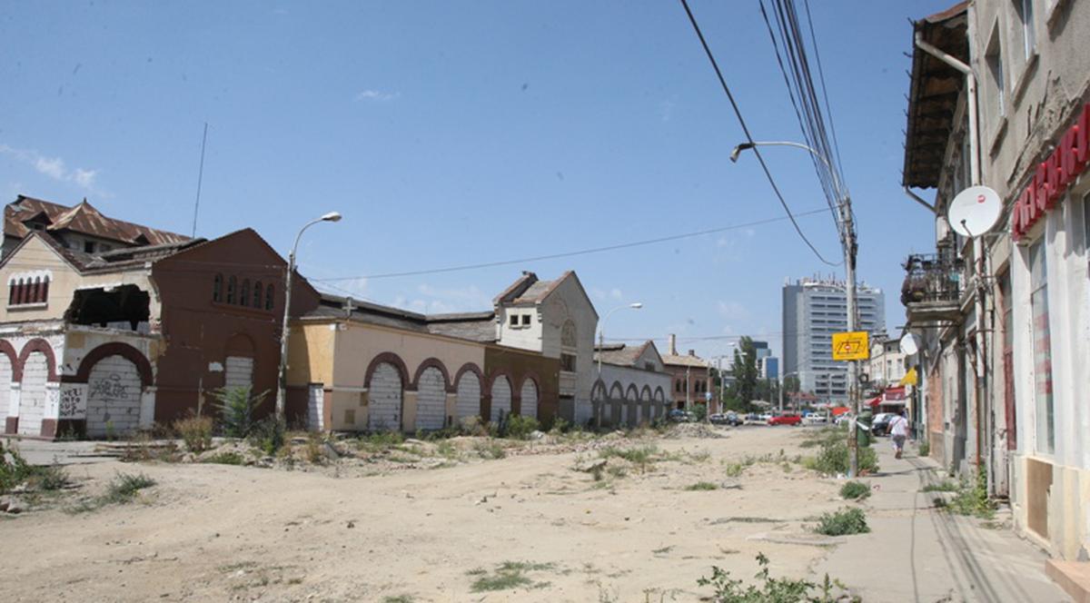 BURUIENI cât casa ÎN LOCUL UNUI BULEVARD DIN CAPITALĂ
