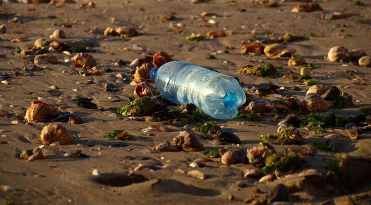 Uite cum îşi bat joc de o plajă superbă!