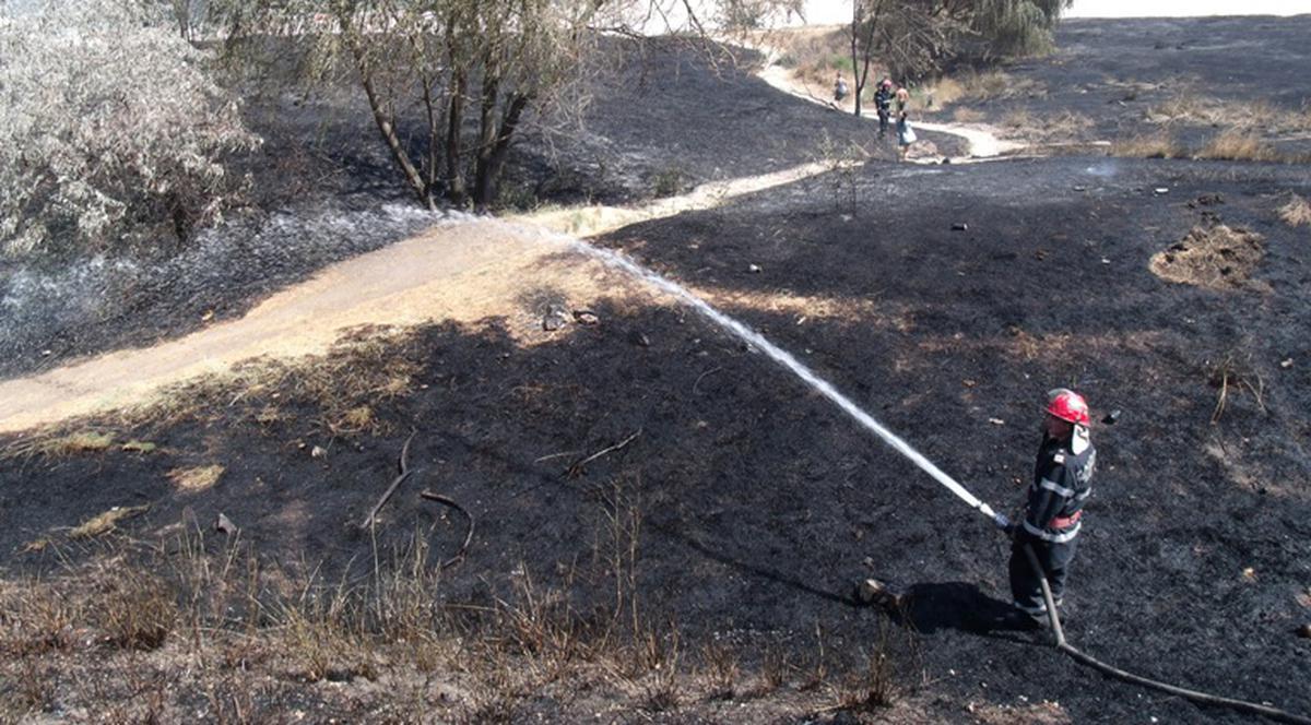 Doamne! Ce prăpăd a fost lângă o plajă din Constanţa| FOTO