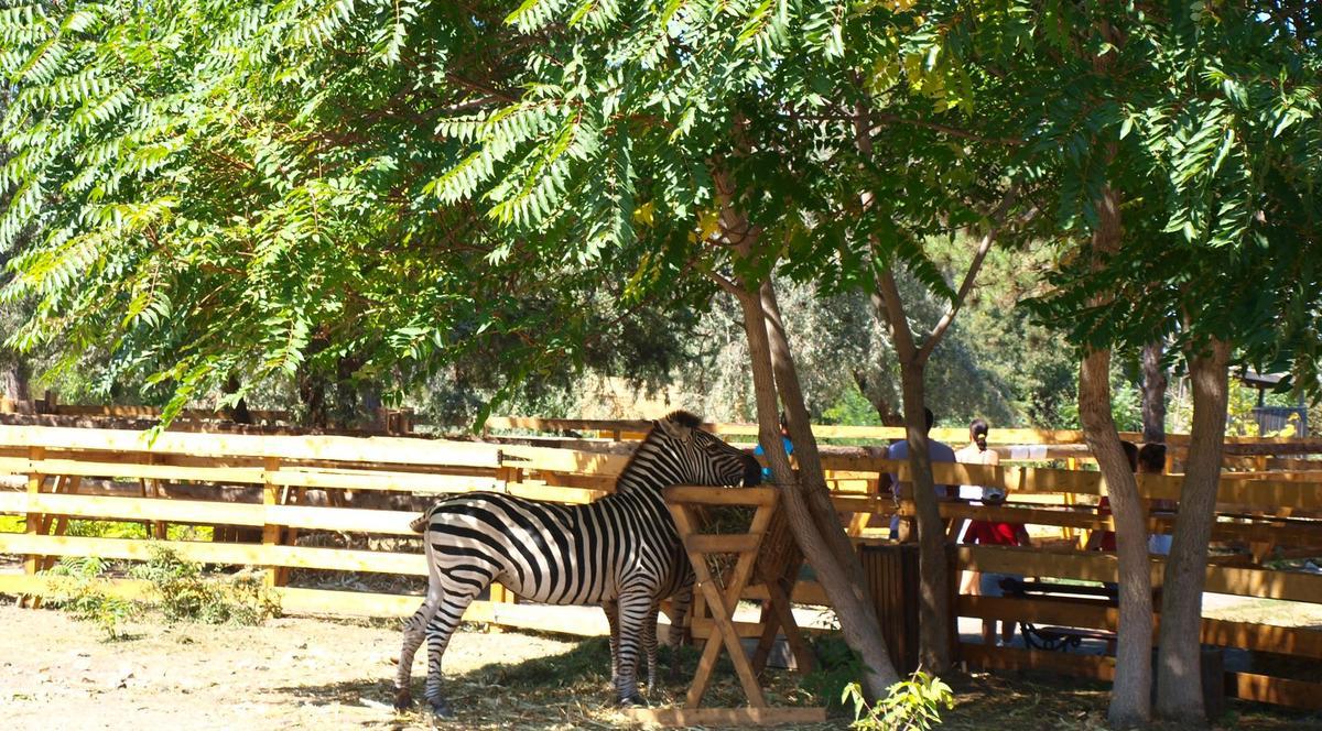 Bulgarii ne-au ajutat să modernizăm Microrezervatia din Constanţa