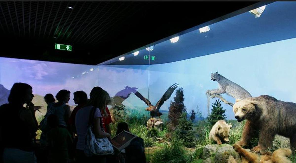 Vizită la muzeu pe întuneric. Află unde se întâmplă asta şi ce exponate te aşteaptă!