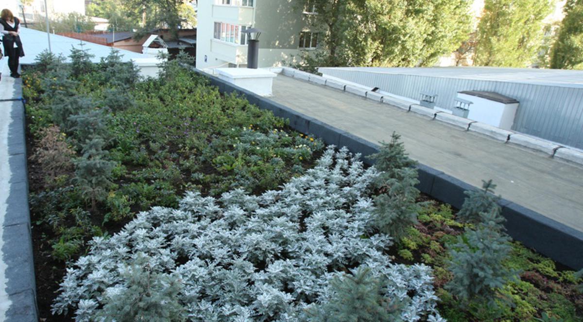 Aşa arată primul acoperiş “verde” din Capitală