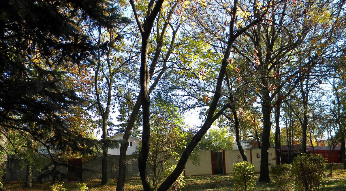 S-a sinucis de ziua ei! O fată de 24 de ani din Ploieşti s-a spânzurat în parc