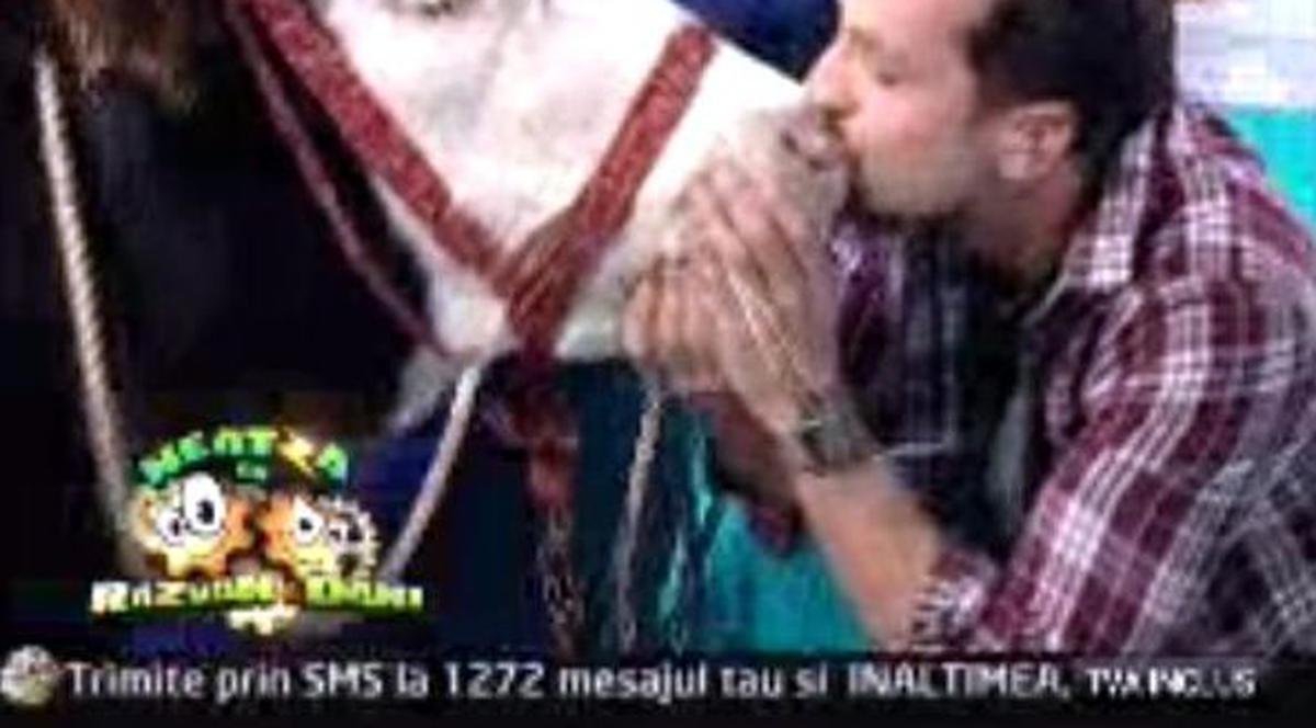 Dani, cum o mai pupi acum pe Mihaela? Matinalul a sărutat O VACĂ în direct la "Neatza" | VIDEO