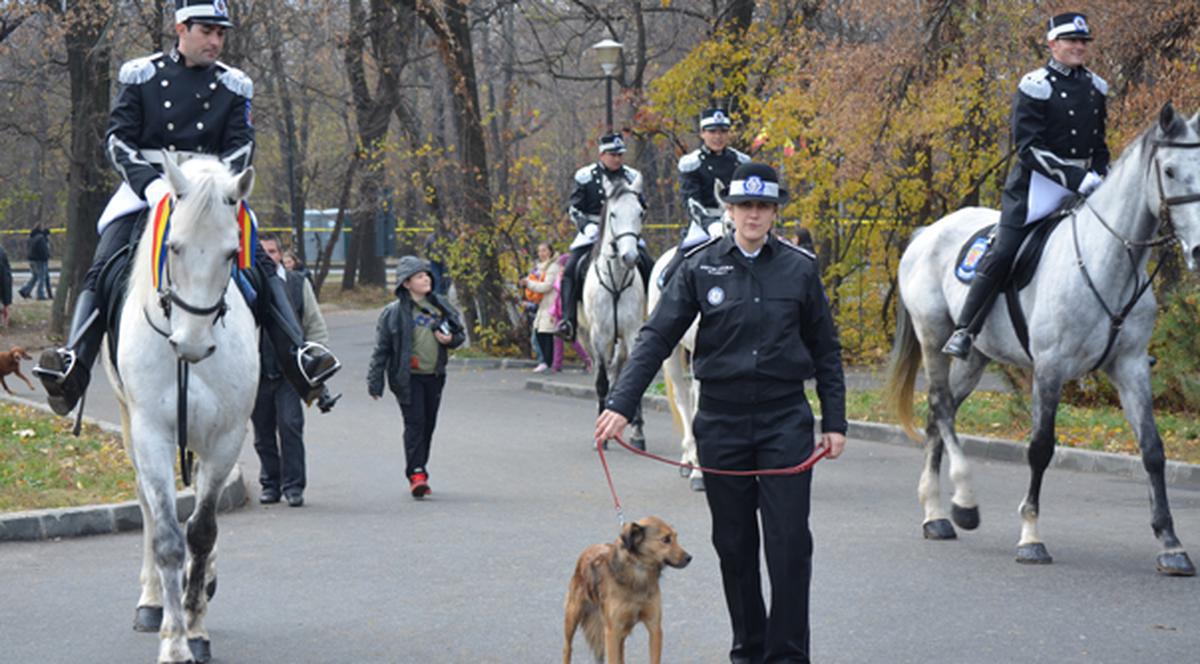 APARIŢIE INEDITĂ la parada de la Arcul de Triumf. PATRULELE CĂLARE ale POLIŢIEI LOCALE au venit cu o MASCOTĂ