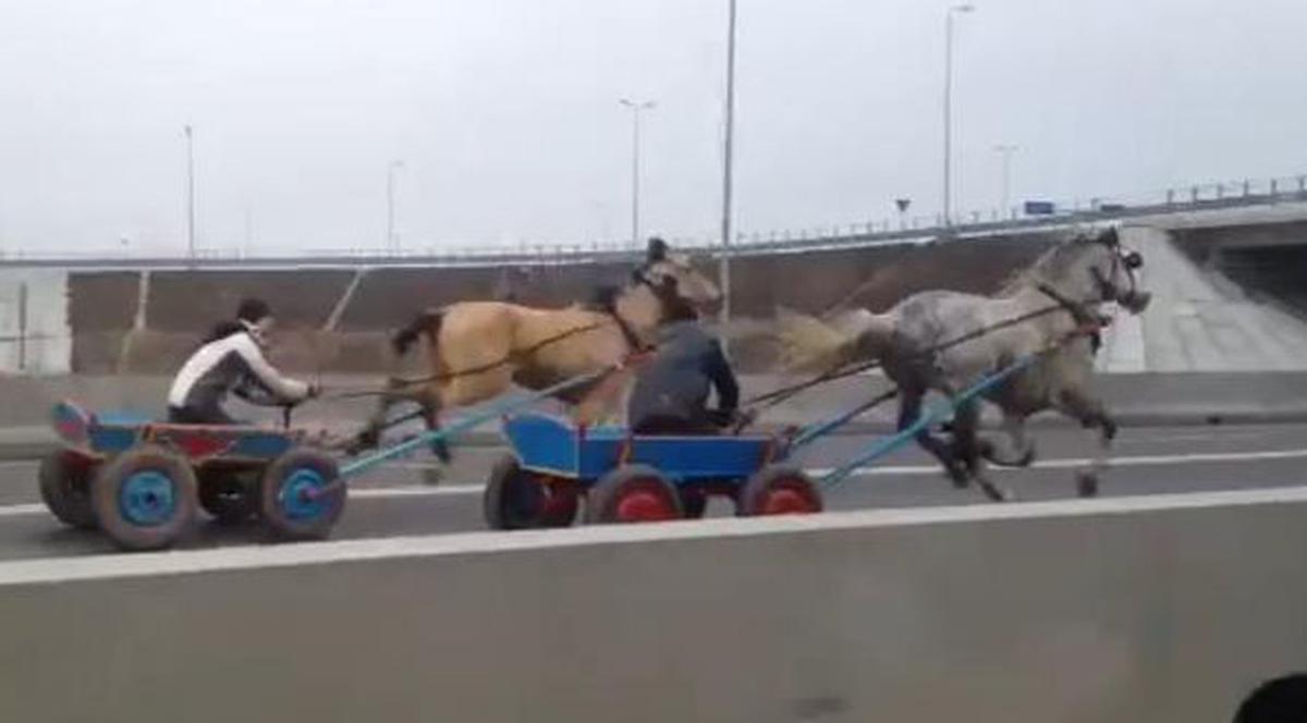 "Liniuţa" care face România de râsul Europei! Doi căruţaşi s-au luat la întrecere pe Autostrada Soarelui! | VIDEO